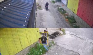 IMG-20260331-WA0007