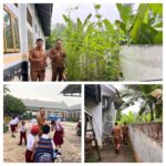 IMG_20260615_120217-COLLAGE