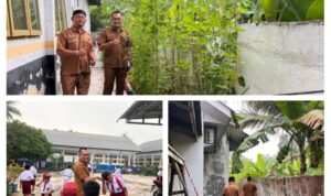 IMG_20260615_120217-COLLAGE