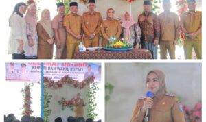 IMG_20260702_194553-COLLAGE
