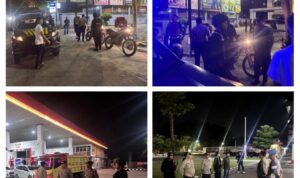 IMG_20261003_162802-COLLAGE